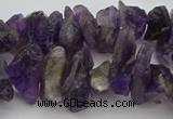 CNG5031 15.5 inches 6*15mm - 8*25mm nuggets amethyst beads