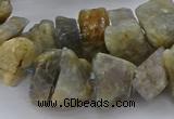 CNG5036 15.5 inches 12*20mm - 15*25mm nuggets labradorite beads