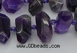 CNG5365 15.5 inches 12*16mm - 15*25mm faceted nuggets amethyst beads