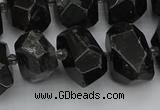 CNG5368 12*16mm - 15*20mm faceted nuggets black tourmaline beads