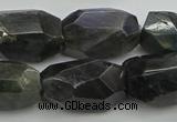 CNG5389 15.5 inches 12*16mm - 15*25mm faceted nuggets labradorite beads