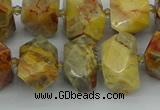 CNG5436 12*16mm - 15*20mm faceted nuggets crazy lace agate beads