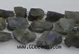 CNG5527 15.5 inches 6*8mm - 10*15mm nuggets labradorite beads