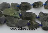 CNG5528 15.5 inches 10*14mm - 15*20mm nuggets labradorite beads