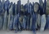 CNG5589 3*15mm - 6*20mm nuggets natural blue kyanite beads