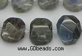 CNG5722 15.5 inches 12*16mm - 15*20mm faceted freeform labradorite beads