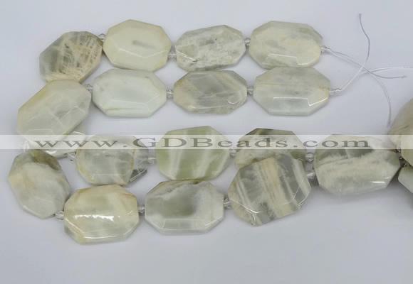 CNG5834 15.5 inches 20*30mm - 35*45mm faceted freeform moonstone beads