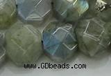 CNG5874 15.5 inches 8*12mm - 12*16mm faceted freeform labradorite beads