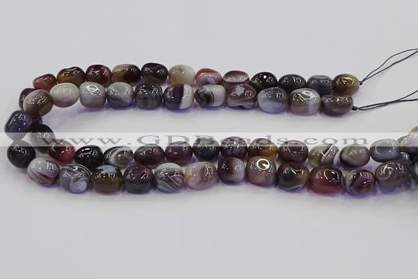 CNG6883 15.5 inches 8*12mm - 10*14mm nuggets botswana agate beads