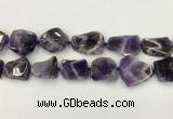 CNG6946 15.5 inches 22*25mm - 25*30mm freeform amethyst beads