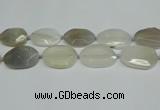 CNG7081 15.5 inches 25*35mm - 35*45mm faceted freeform agate beads