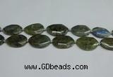 CNG7098 25*35mm - 35*45mm faceted freeform labradorite beads