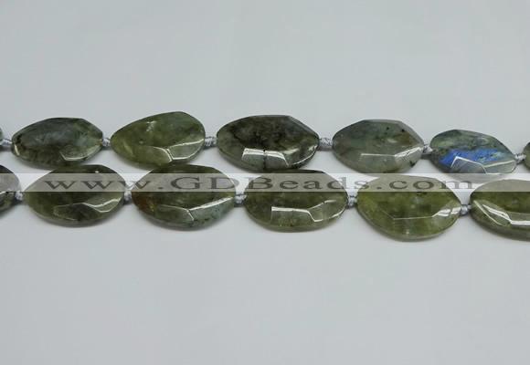 CNG7098 25*35mm - 35*45mm faceted freeform labradorite beads