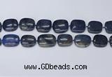 CNG7117 15.5 inches 20*25mm - 25*30mm freeform blue dumortierite beads