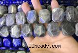 CNG7480 15.5 inches 18*25mm - 20*28mm faceted freeform labradorite beads