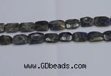 CNG7487 15.5 inches 18*25mm - 20*30mm faceted freeform labradorite beads