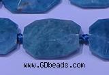 CNG7530 15.5 inches 18*25mm - 25*35mm faceted freeform amazonite beads