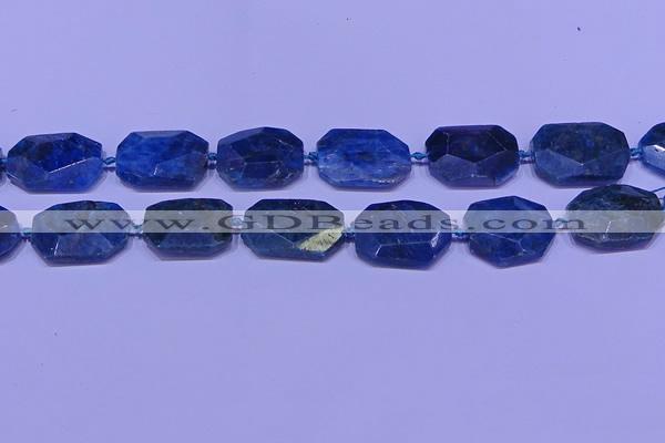 CNG7533 15.5 inches 18*25mm - 25*35mm faceted freeform apatite beads