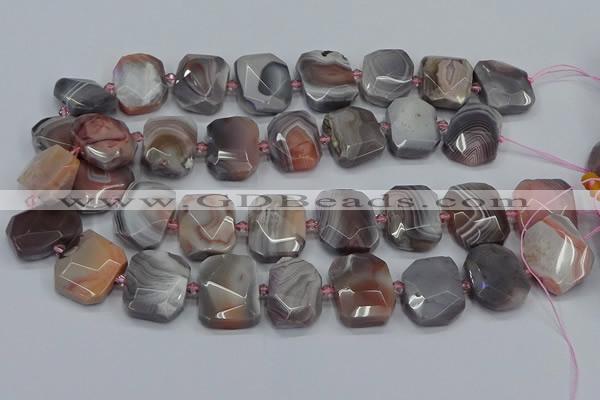 CNG7561 18*25mm - 20*28mm faceted freeform red Botswana agate beads