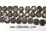 CNG7568 15.5 inches 18*25mm - 20*28mm faceted freeform bronzite beads