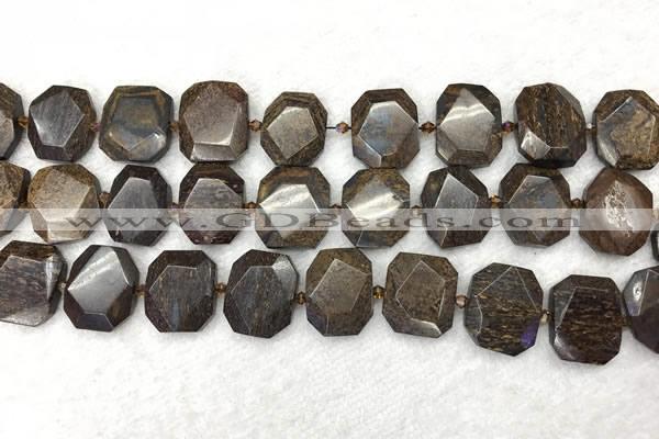 CNG7568 15.5 inches 18*25mm - 20*28mm faceted freeform bronzite beads