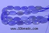 CNG7623 20*30mm - 22*32mm faceted freeform blue chalcedony beads