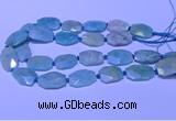 CNG7625 20*30mm - 22*32mm faceted freeform amazonite beads