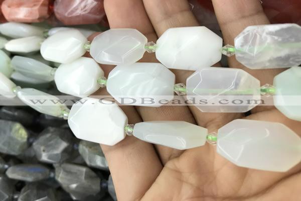 CNG7812 13*18mm - 18*25mm faceted freeform light prehnite beads