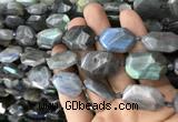 CNG7820 15.5 inches 13*18mm - 18*25mm faceted freeform labradorite beads