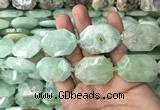 CNG7831 20*28mm - 25*35mm faceted freeform light prehnite beads