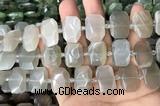 CNG7881 13*18mm - 15*25mm faceted freeform moonstone beads