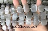 CNG7882 13*18mm - 15*25mm faceted freeform moonstone beads