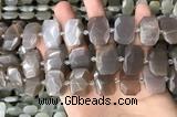 CNG7886 13*18mm - 15*25mm faceted freeform moonstone beads