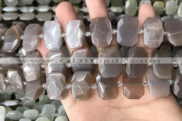 CNG7886 13*18mm - 15*25mm faceted freeform moonstone beads