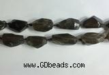 CNG7955 15.5 inches 15*25mm - 20*40mm nuggets smoky quartz beads