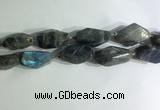 CNG7964 15.5 inches 15*25mm - 20*40mm nuggets labradorite beads