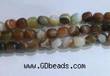 CNG8195 15.5 inches 10*14mm nuggets striped agate beads wholesale