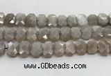 CNG8615 10*13mm - 12*16mm faceted freeform moonstone beads