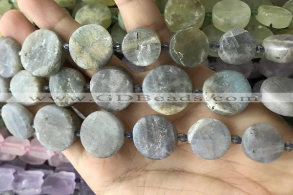 CNG8657 15.5 inches 10mm - 20mm freeform labradorite beads