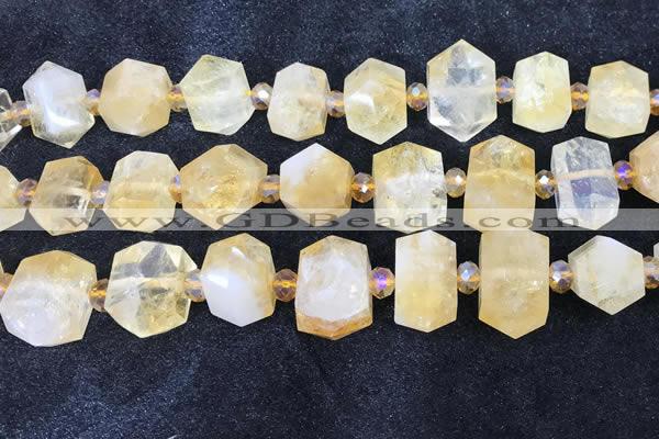 CNG8674 12*20mm - 20*33mm faceted nuggets citrine beads