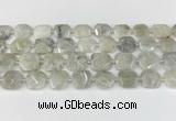 CNG8806 15.5 inches 16mm - 20mm faceted freeform moonstone beads