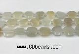 CNG8807 15.5 inches 16mm - 20mm faceted freeform moonstone beads