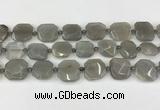 CNG8809 15.5 inches 16mm - 20mm faceted freeform moonstone beads