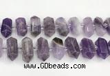 CNG8916 15.5 inches 10*25mm - 15*30mm faceted nuggets amethyst beads