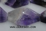 CNG893 15.5 inches 22*30mm faceted freeform dogtooth amethyst beads