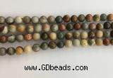 CNI370 15.5 inches 6mm round American picture jasper beads