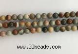 CNI371 15.5 inches 8mm round American picture jasper beads