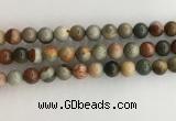 CNI372 15.5 inches 10mm round American picture jasper beads