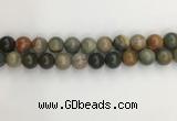 CNI373 15.5 inches 12mm round American picture jasper beads