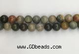 CNI374 15.5 inches 14mm round American picture jasper beads